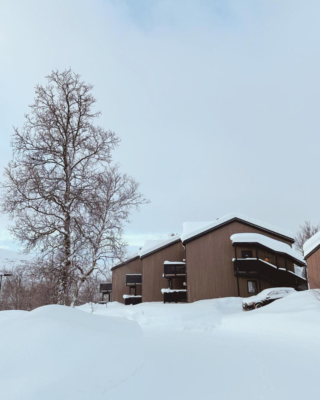 Skaidi Luxury Lodge - Heart Of The Arctic Hammerfest Exterior foto